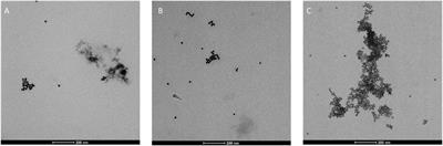 Ultrashort Peptides and Gold Nanoparticles: Influence of Constrained Amino Acids on Colloidal Stability